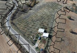 KAPLANLI’DA SATILIK BADEM BAHÇESİ